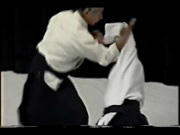1995 Kobukan 20th anniv demo Endo