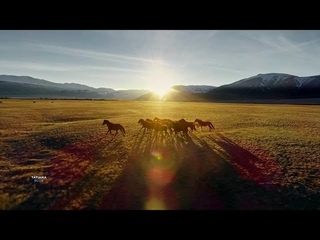 A Perfect Place - Edelis (New Album) Amazing New Age Music