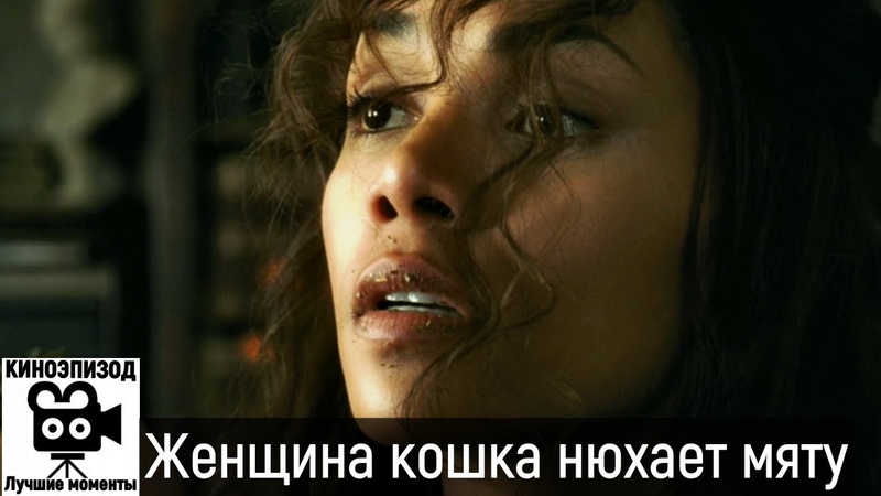 Женщина кошка нюхает кошачью мяту. Женщина кошка.