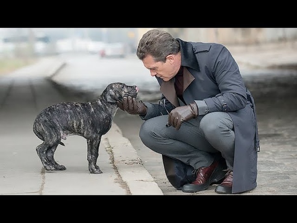 Цeпнoй пёc (2017) Русский