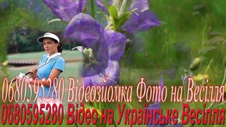 464 Романтична Збірка Весільних Українських Пісень 2022 рік Весільна Музика 2022 рік Пісні Кохання