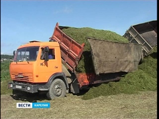 ЗАГОТОВКА СИЛОСА
