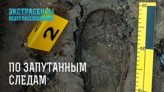Ясновидящие раскрывают тайны самых сложных криминальных дел  Экстрасенсы ведут расследование