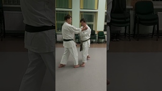 Nijushiho kata effective bunkai nr. 3 - Kakiwake/Hiza #shorts