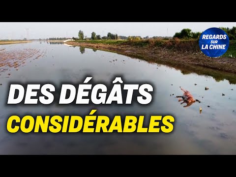 Un comté inondé demande de l aide; Marine américaine : le plus grand exercice depuis 40