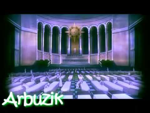 D gray man Держись брат