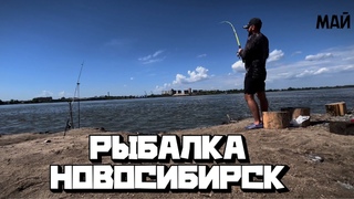 ЯЗЬ,ЛЕЩ НА ЗАКИДУШКИ | ОТ ЭТОЙ НАСАДКИ РЫБА БЕЗ УМА ВЕСНОЙ| РЫБАЛКА В НОВОСИБИРСКЕ