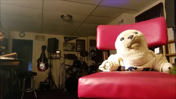 SAMMY THE SEAL SEASON 2 EP