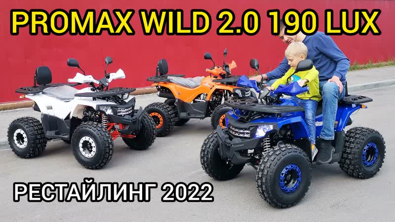 Обзор квадроцикла PROMAX WILD 2. 0 190