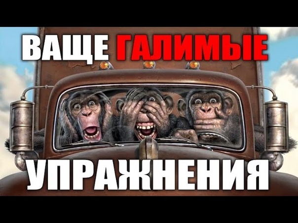 ВАЩЕ ГАЛИМЫЕ