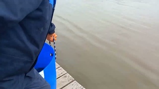 Запуск форели - 150 кг !!!