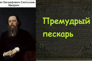 Михаил Салтыков-Щедрин.  Премудрый пескарь. аудиокнига.