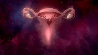 Bodyform: #wombstories
