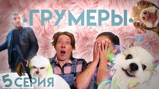 “Грумеры“ вебсериал. Драка в салоне. Алопеция шпицев. К нам приехал ревизор!