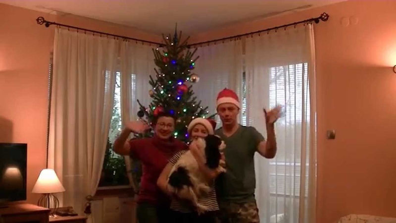 Learn Polish from video: Christmas Tree Choinka, Learn Polish