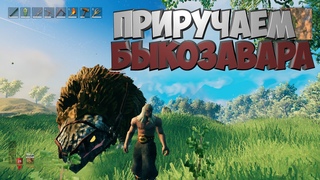 Катаемся и приручаем быкозавра в Valheim.