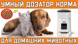 УМНЫЙ ДОЗАТОР КОРМА ДЛЯ ДОМАШНИХ ПИТОМЦЕВ