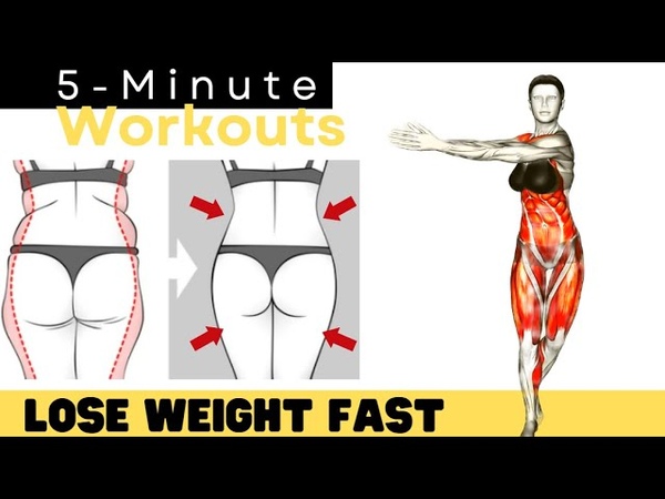 TORCH BELLY FAT AND LOSE WEIGHT Low Impact Cardio HIIT Workout for Beginners 5 Minute