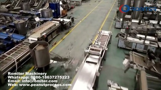 Automatic Peanut Washing and Infrared Ray Dryer Machine