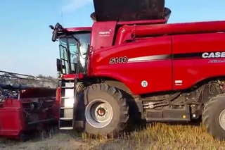 Żniwa rzepakowe 2015 z Case Axial-Flow 5140 cz.1