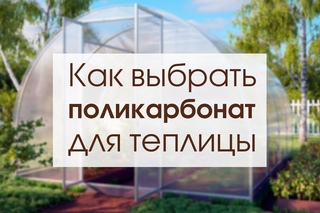 Как выбрать поликарбонат для теплицы