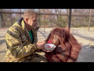 Дана продолжает ЛЕЧИТЬ Олега Зубкова и за это получает вкусный борщ!