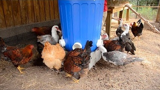 Como Hacer Comederos Para Gallinas Automáticos Caseros || La Huertina De Toni