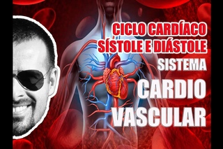 Ciclo Cardíaco: Sístole e Diástole - Sistema Cardiovascular - Anatomia Humana - VideoAula 046