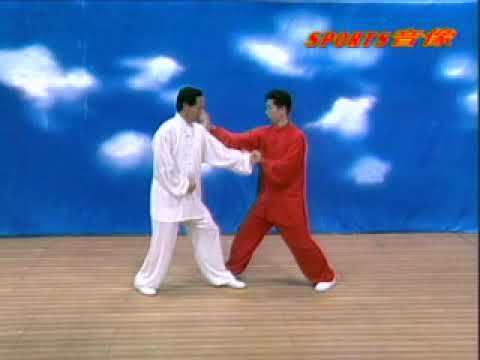 Hsing I Fist 5 Elements