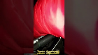 funny shorts and car! #france #2024 #reno #reels #vlog #top #news #новости #automobile #viralvideo