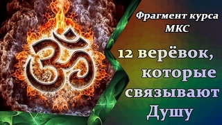 12 верёвок, которые связывают Душу (фрагмент курса МКС)