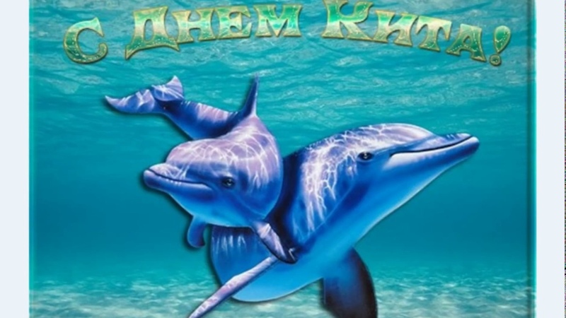 18 февраля 19 февраля день защиты морских млекопитающих (День