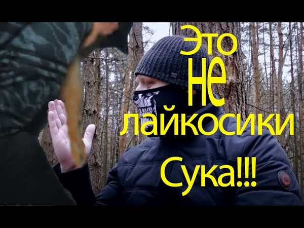 За лайки, по лаю, за хайп