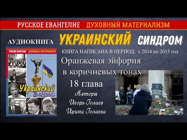 Украинский синдром. Аудиокнига. 18 глава. Оранжевая эйфория