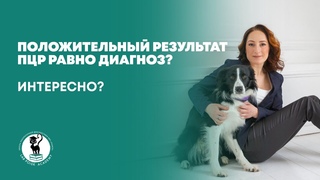 Положительный результат ПЦР равно диагноз