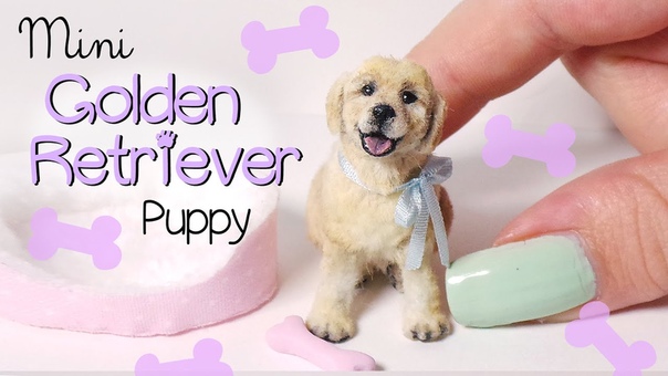 Miniature Golden Retriever Puppy Tutorial, , Dolls, Dollhouse