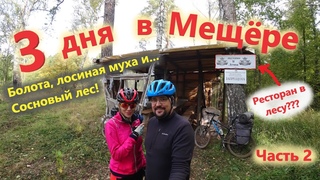 Внезапная встреча с охотниками в ночи! Велопоход в Мещёру. Часть 2. Поход в лес с палаткой.