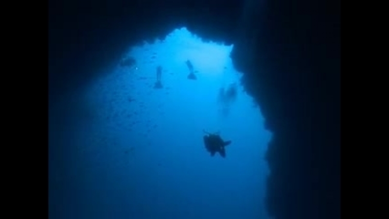 Алексей и Наталья Молчанова в Арке Blue