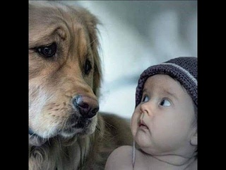 😺 Не бойся, я добрый! 🐕 Смешное видео с собаками, кошками и котятами! 😸