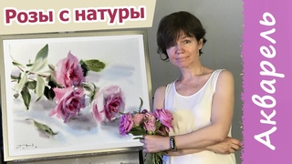 Розы акварелью с натуры