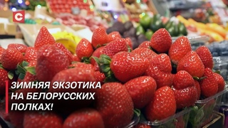 Белорусская клубника зимой! Как выращивают и сколько стоит? | Самая большая теплица