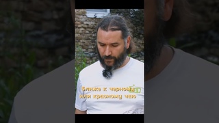 Сергей Шевелев расскажет о том, какие бывают улуны, про типы их ферментации и обработки...