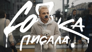 Rozalia, Джарахов - СОБАКА ПИСАЛА teaser