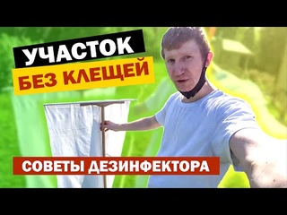 Как обработать участок от клещей