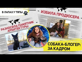 Как снимать блог о животных. Backstage съемок -3: что остается за кадром | В лапах у Тяпы