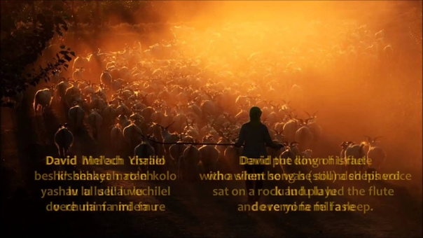 David Melech Yisrael David King