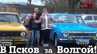 В ПСКОВ за ВОЛГОЙ | ФИНАЛ проекта - экскурсия | Волчица-Виктория
