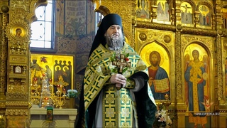 Слово на Вход Господень в Иерусалим | Иеромонах Даниил (Михалев) |  г.