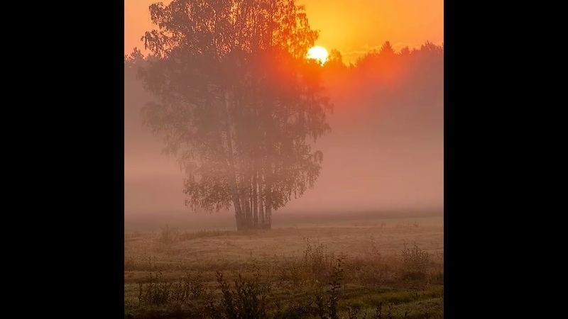 Краски осени, автор исполн. Г. Павлова, муз С Кузнецова