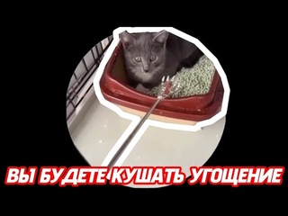Вы будете кушать угощения - мем, оригинал